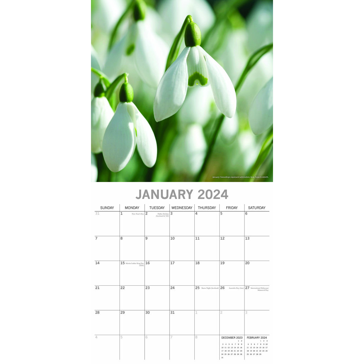 Fille aux fleurs Calendrier 2024 - 2025: Calendrier sur trois ans, 30  images de la Fille aux fleurs, de janvier 2024 à juin 2026, papier épais et