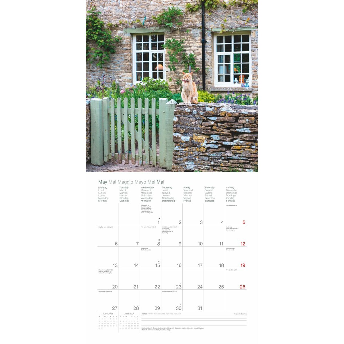 Chats - 2024 Calendrier Mural - Tout Neuf - 601303
