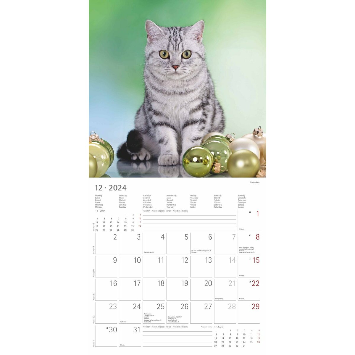 Mon Calendrier Mural : Calendrier 2024 de chats