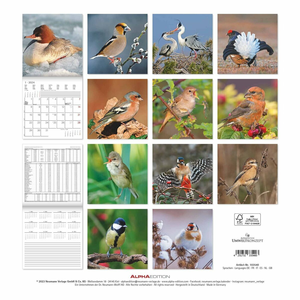 Calendrier 2024 à Imprimer 2024 Printable Calendar Monthly Planning Mensuel  Art Calendar Calendrier Illustré Oiseaux Birds Nature 