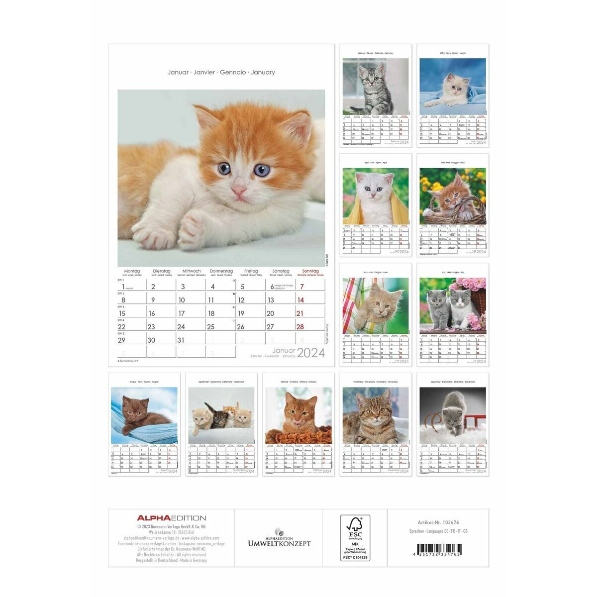 Calendrier des chats (édition 2024)