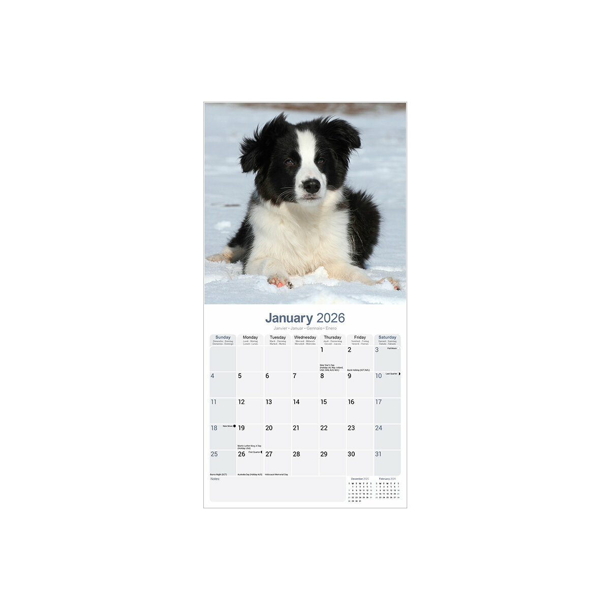 Calendrier Mural 2026 Legami 'Cats' - 18x18 Cm, 12 Mois, 6 Langues, Signes Du Zodiaque - 13