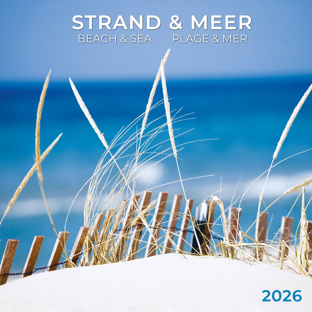 Calendrier Mural 2026 - Format A4 - Thème Plages Paradisiaques (Caraïbes, Maldives, Seychelles…) - Papier 170g, Spirale Argent