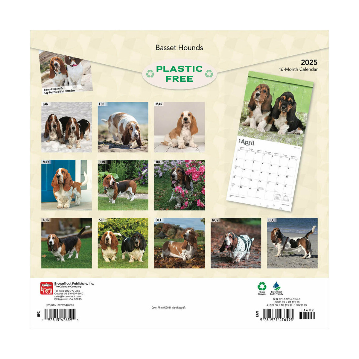 Calendrier Mural 2025 Basset Hound - Format Carré 30,5x30,5 Cm - 16 Mois Avec Autocollants