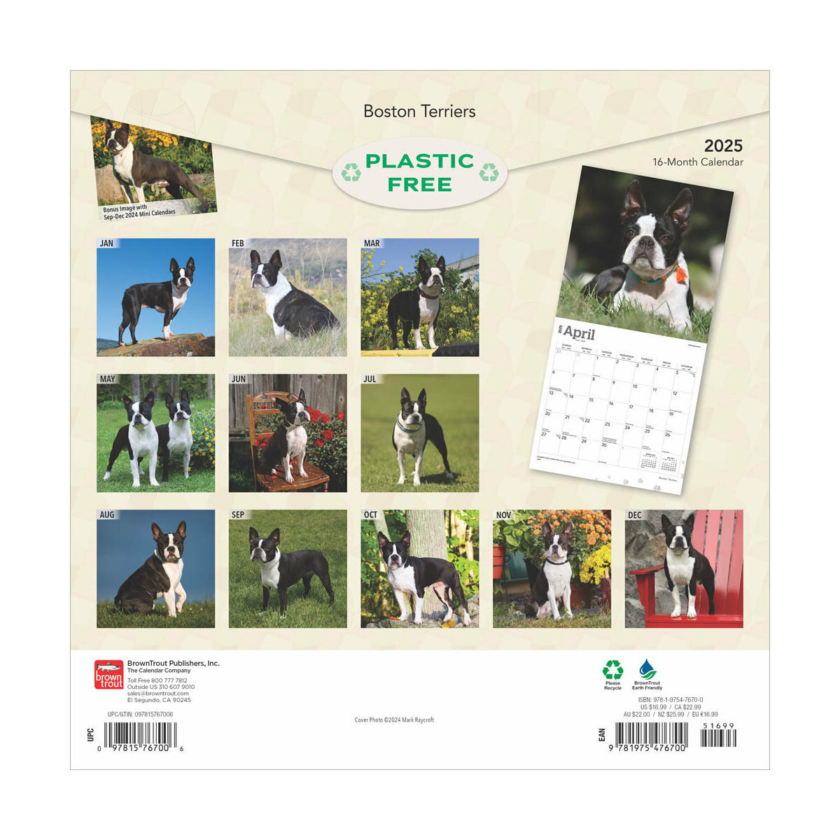 Décoration Noël Extérieur Carte De Noël De Boston Terrier, Carte De Noël De Chien, Carte De Voeux Traineau Pere Noel Exterieur