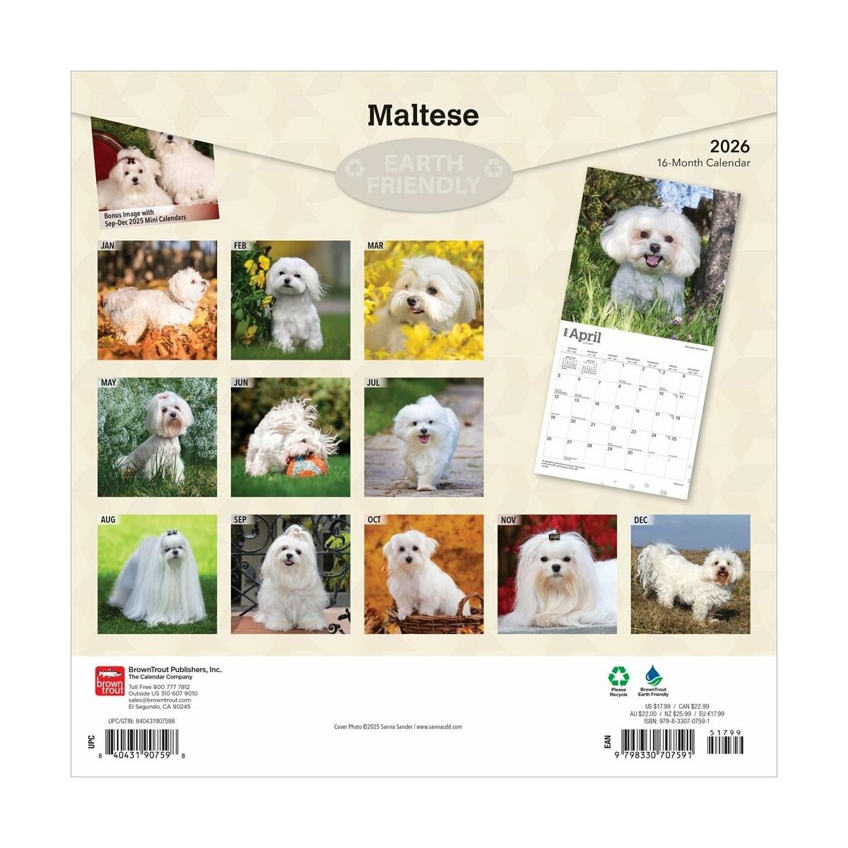 Calendrier Bichon Frisé 2026 : Calendrier Mural Mensuel Avec
