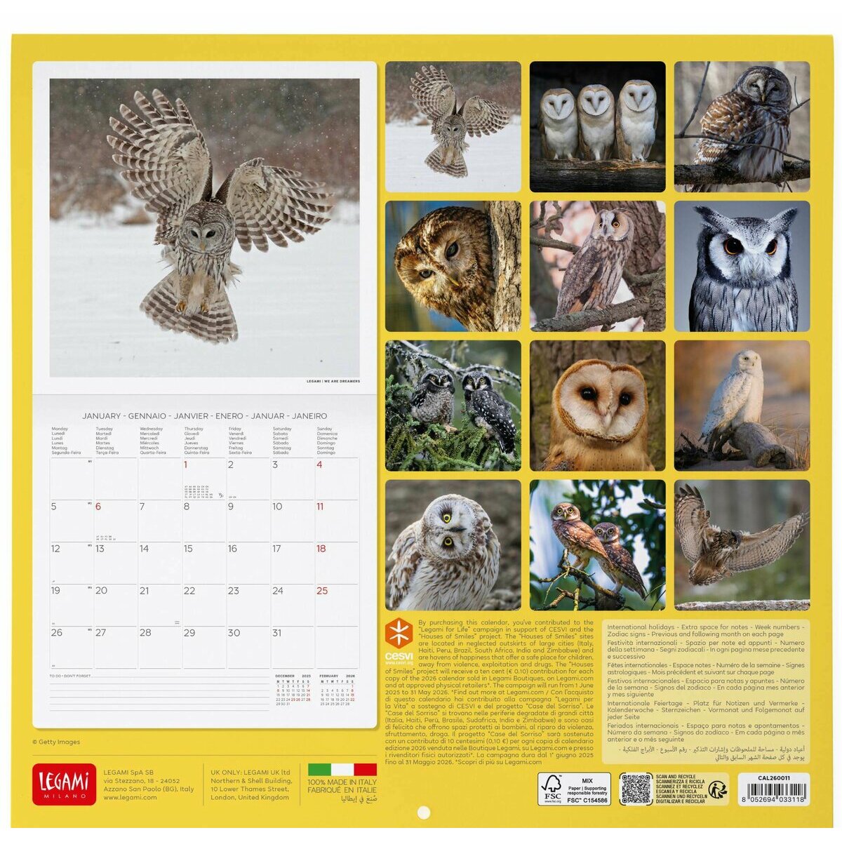 Calendrier Portugais Jours Fériés Calendrier Mural 2026 Finocam - Vue Mensuelle Janvier à Décembre Portugais | Planificateur Annuel Spirale Calendrier Bureau 2026