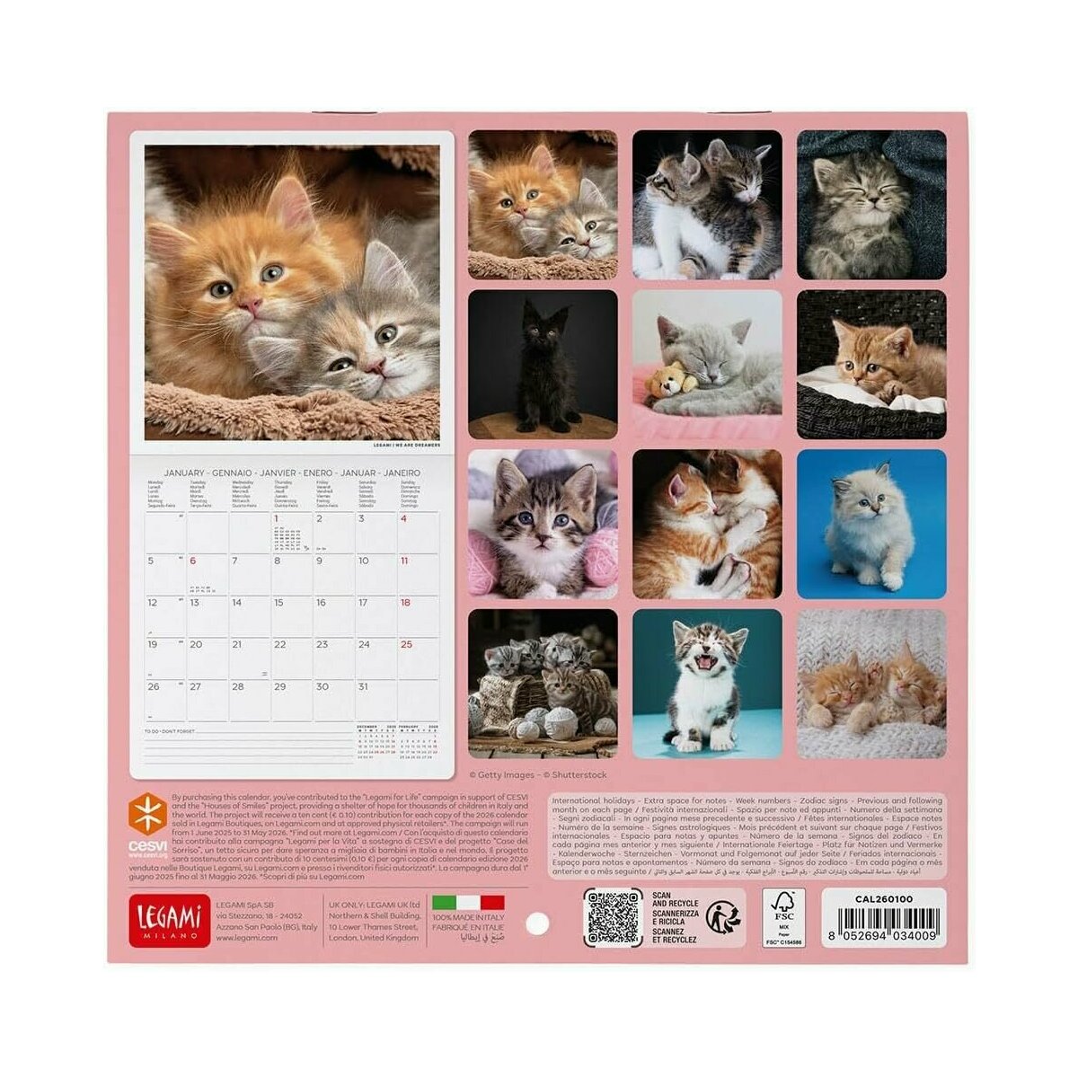 Calendrier Mural 2023-2024 - Vertical 27,9 X 43,2 Cm - Jusqu'à Décembre 2024 - Planification