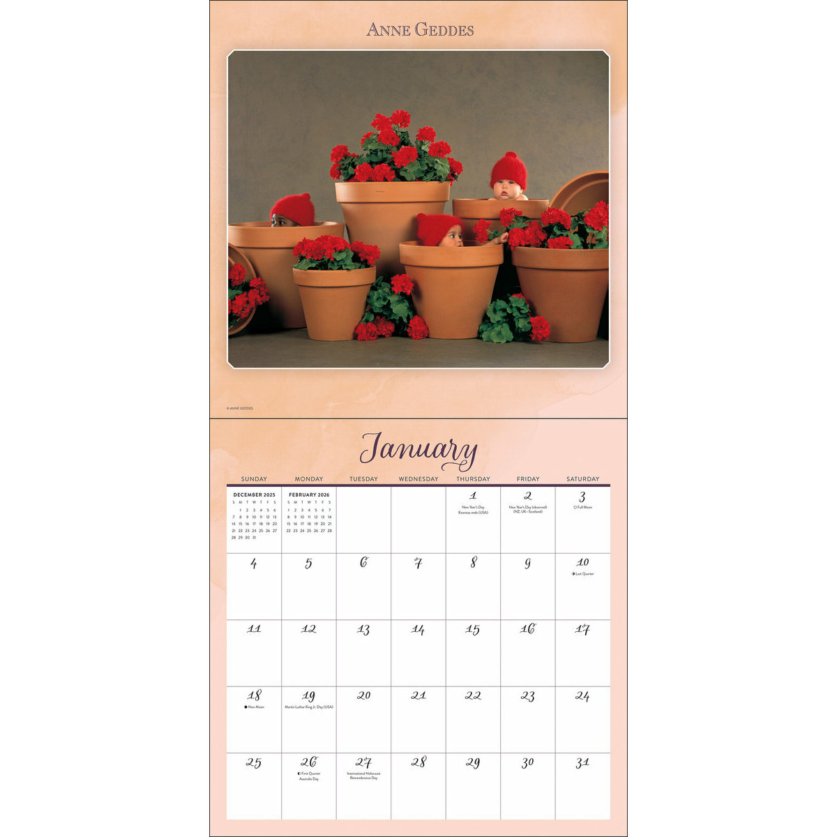 Anne original Geddes Under the Sea