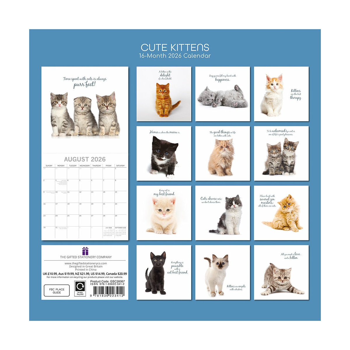 Calendrier Mural 2026 Chat Mignon - 20.3x27.9 Cm, Spirale, Mensuel, Avec Jours Fériés