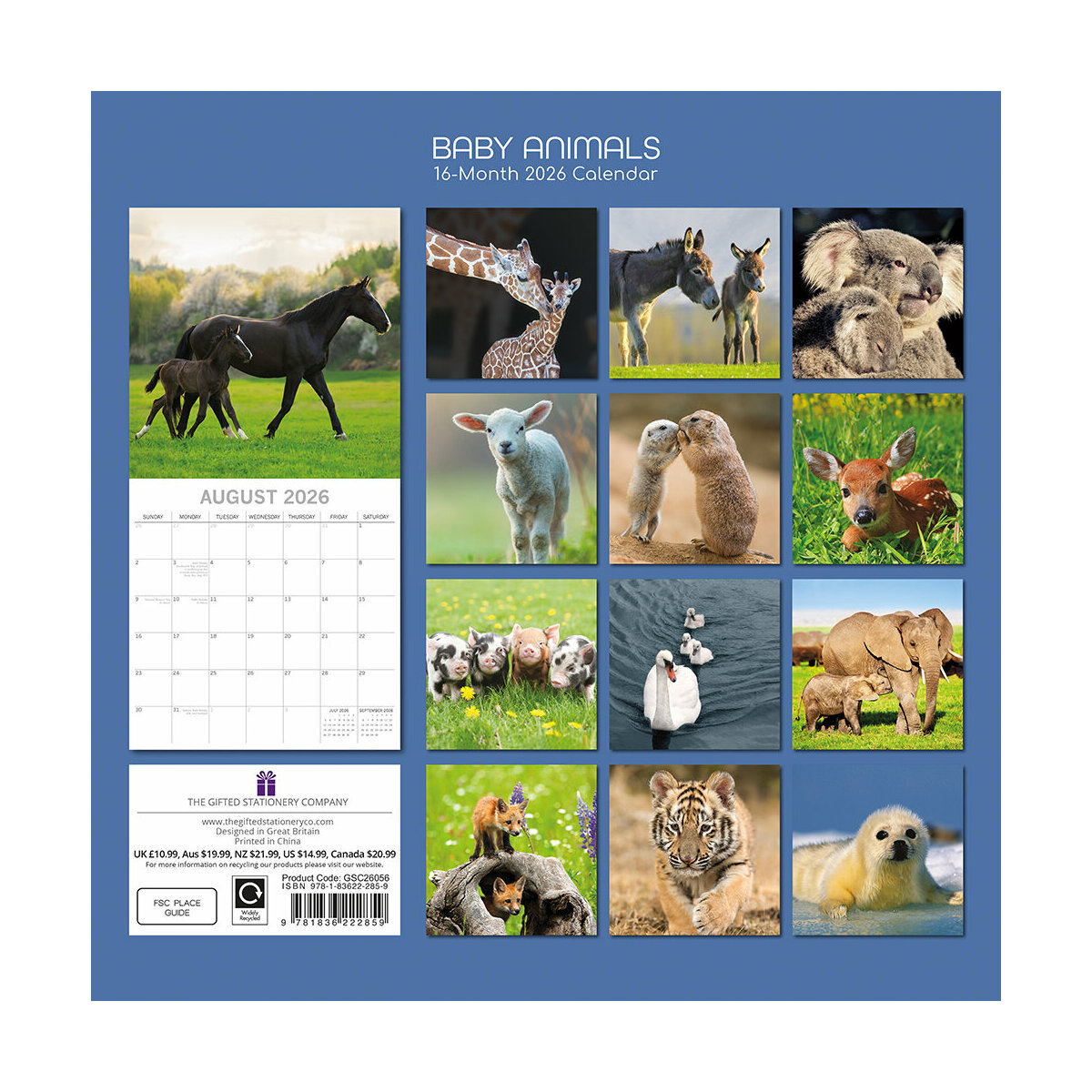 Calendrier Mural 2026 – 12 Mois 27x21 Cm – Illustrations Animaux – Fabriqué En France, Certification PEFC - 6
