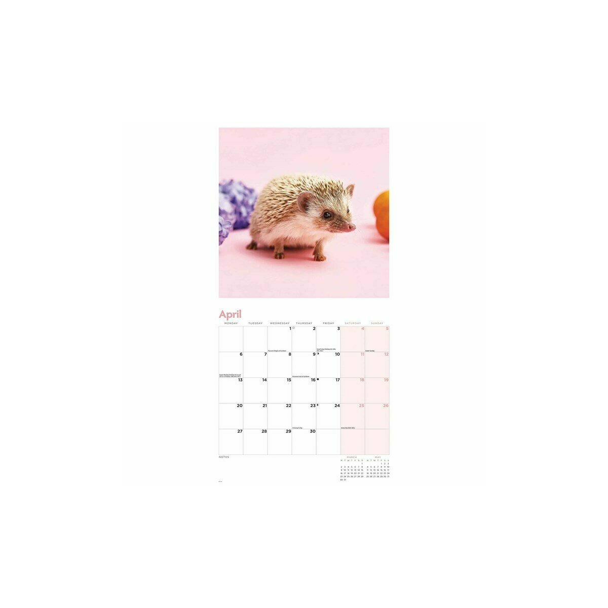 Calendrier Mural 2026 Edition Seidel - Format A4, Motif Hérisson Mignon, Animaux De La Forêt, Papier Haute Qualité 170g/m²