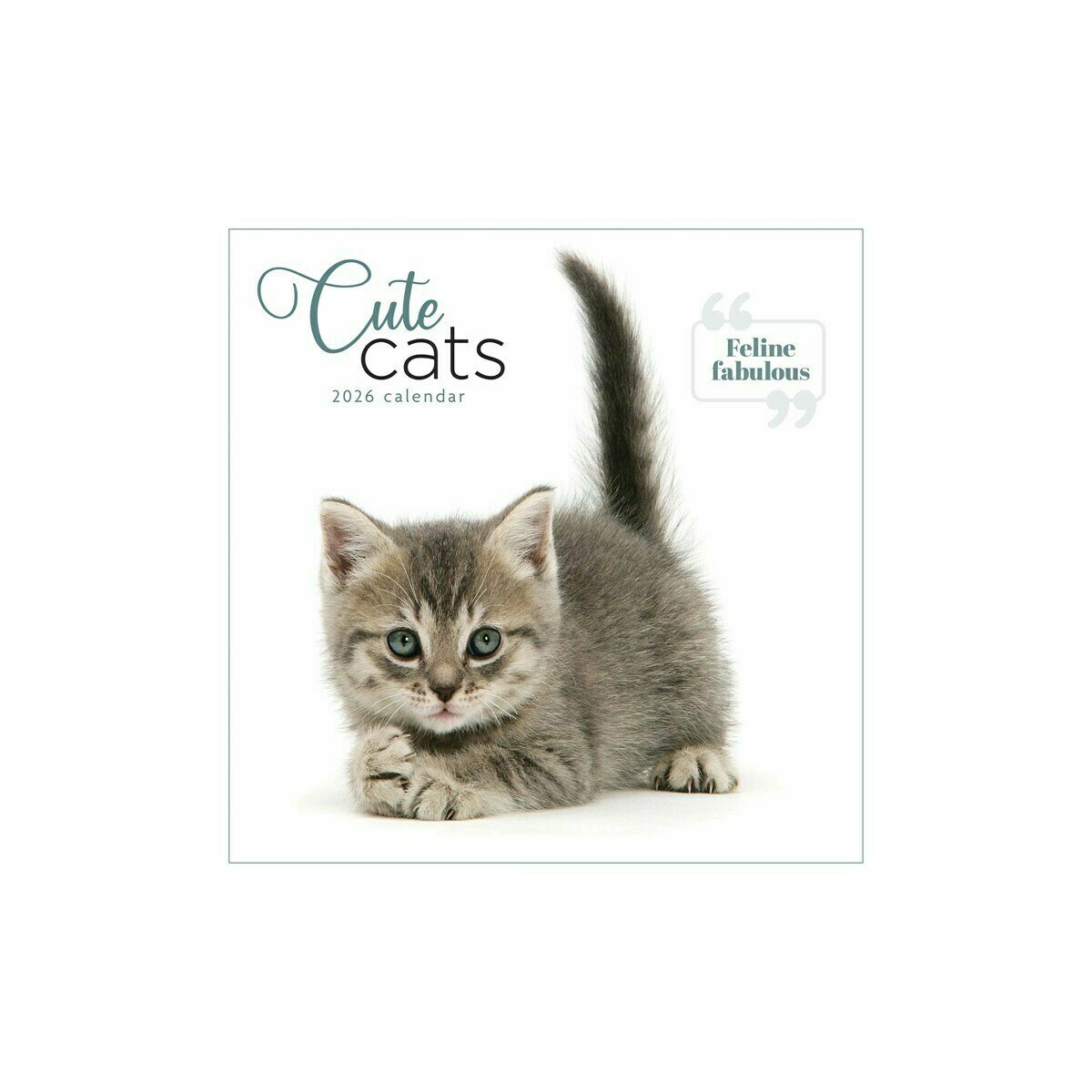 Calendrier Mural 2026 Chats - Format Carré 29x29cm - Photos De Chats Et Chatons Mignons