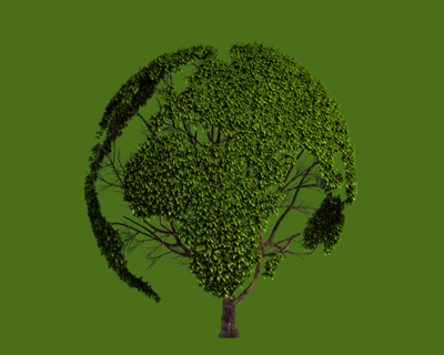Eco-responsable Friendly
