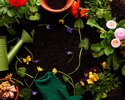 Calendrier 2026 Jardin