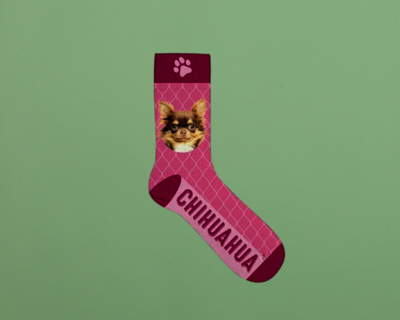 Chaussettes à l'effigie des animaux