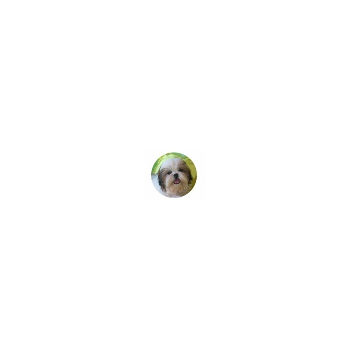 shih tzu bracelet
