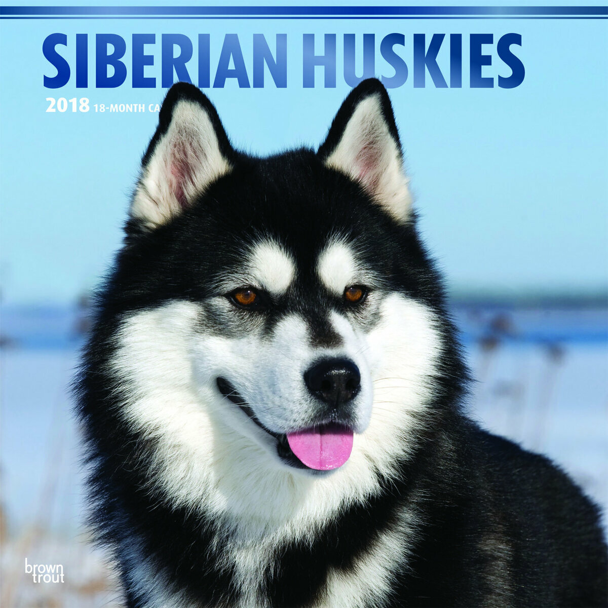 2018 Siberia 2018 Siberia