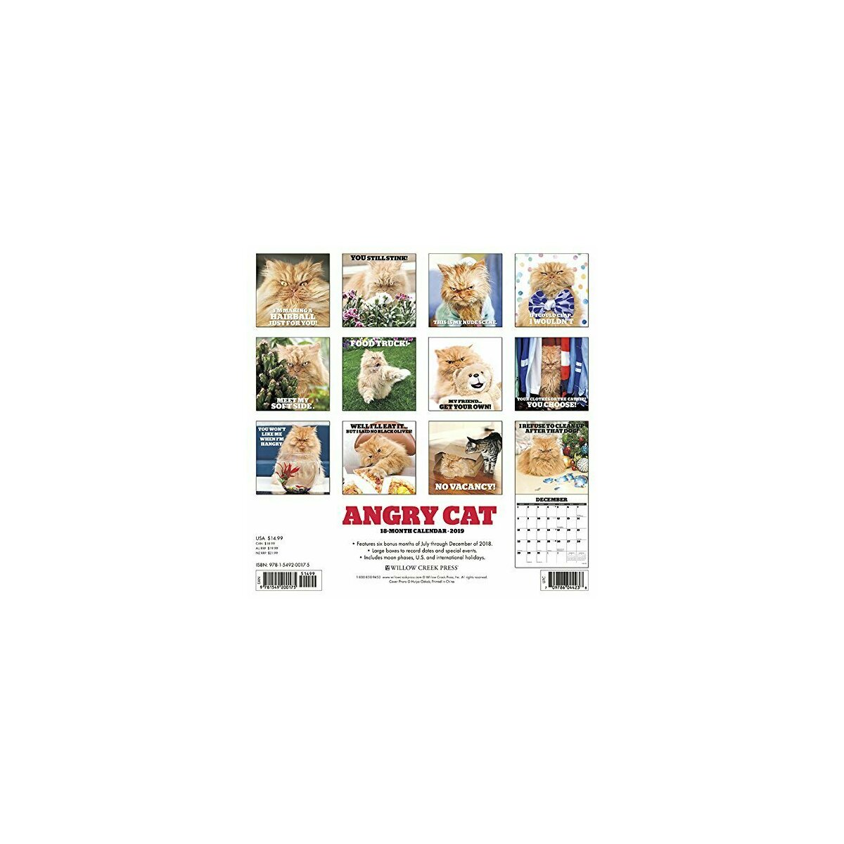 Calendriers Almanachs Collections Calendrier 19 Chats Races Differentes Pec Nu Calendriers Almanachs Collections Calendrier 19 Chats Races Differentes Pec Nu