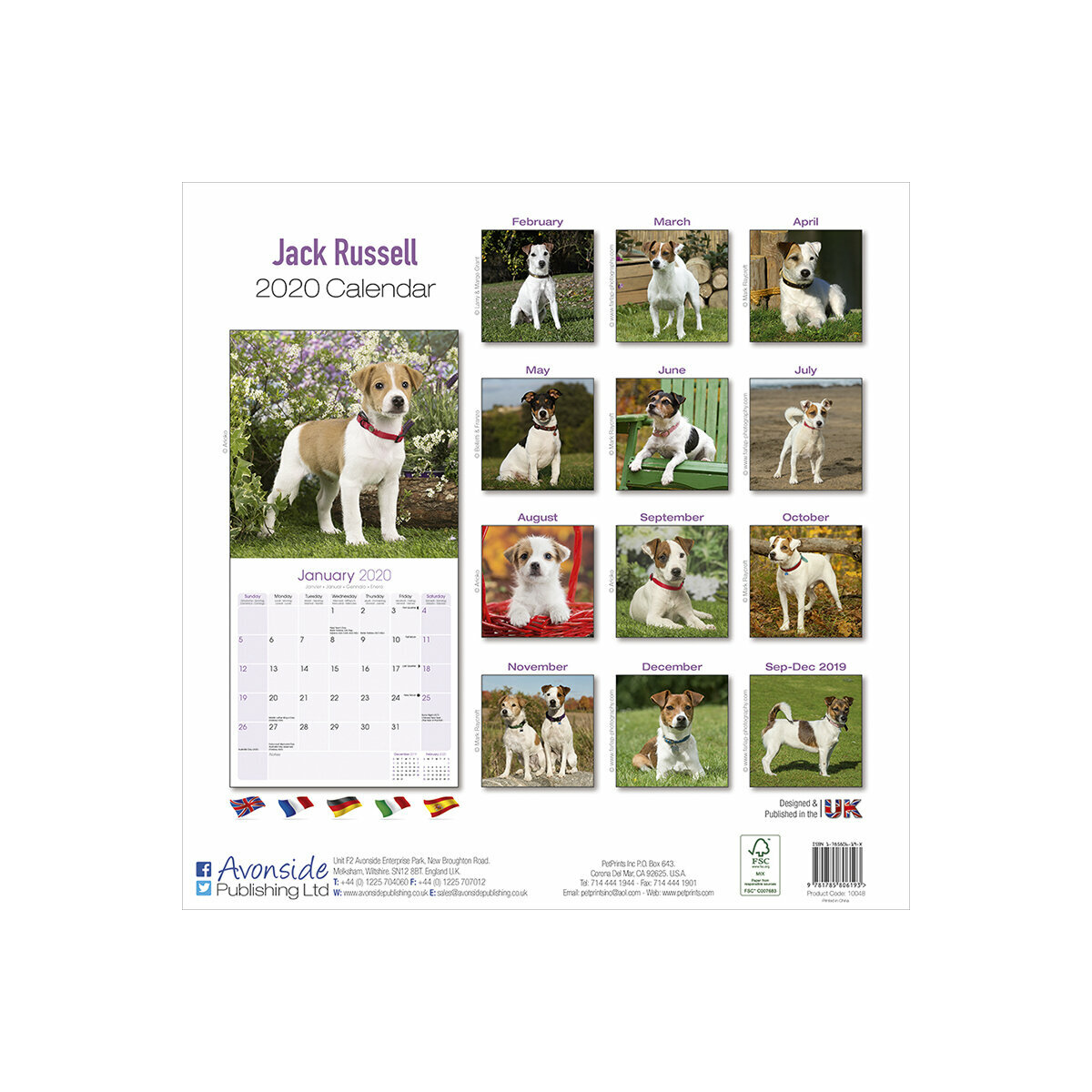 calendrier Jack russell 2020