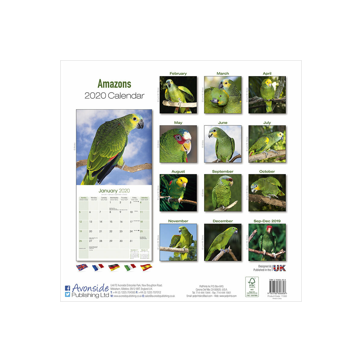 calendrier Amazone Perroquet 2020