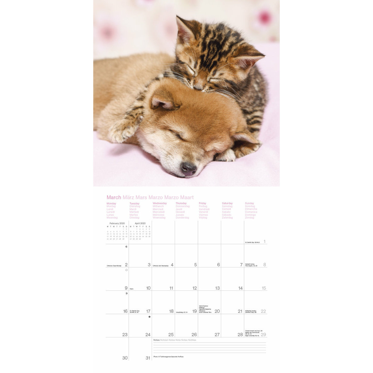 Calendrier 2020 Comme Chien Et Chat
