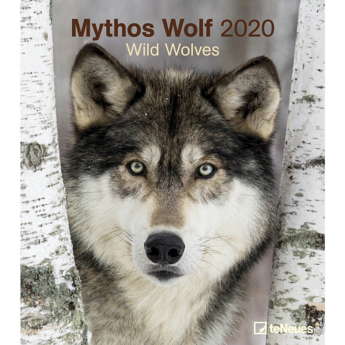 Calendrier mural 2020 Loup Calendrier mural 2020 Loup