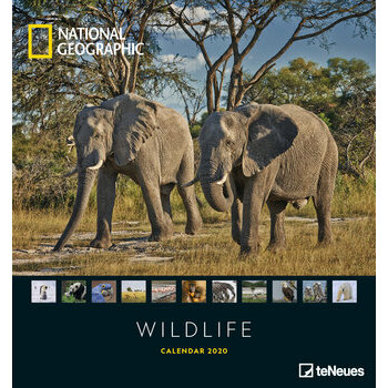 Le Plus Grand Site De Calendriers 2020 à Thème - 