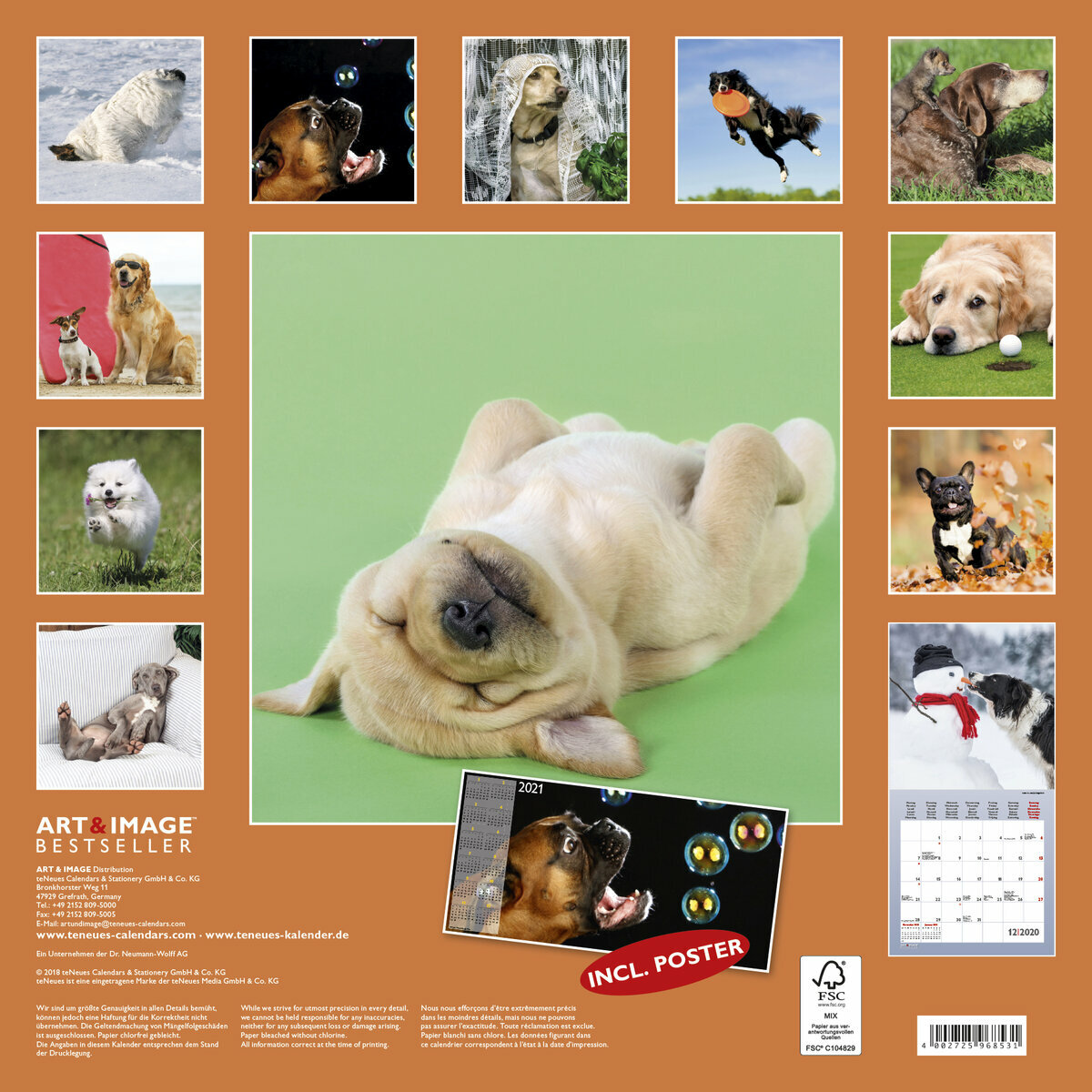 Calendriers, agendas et organiseurs Fun Pugs Calendrier mural teckel