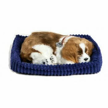 Peluche vivante qui respire Cavalier king charles - Perfect petzzz