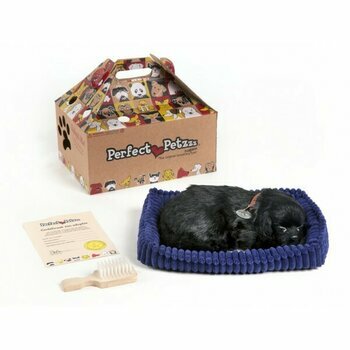 Peluche vivante qui respire Labrador noir - Perfect petzzz