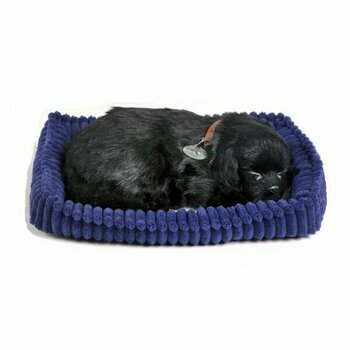 Peluche vivante qui respire Labrador noir - Perfect petzzz