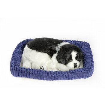 Peluche vivante qui respire Border collie - Perfect petzzz Peluche vivante qui respire Border collie - Perfect petzzz