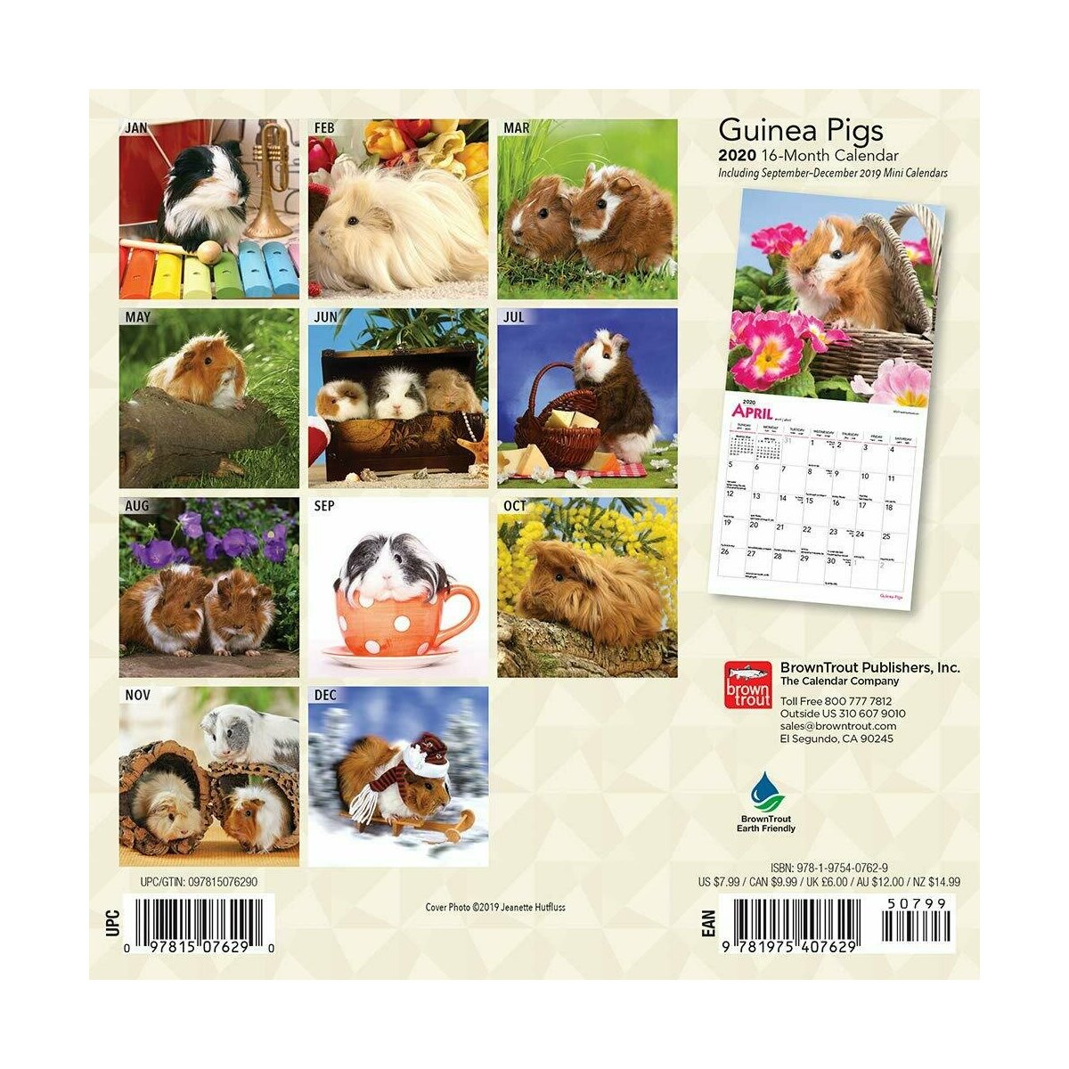 calendrier cochon d'inde 2020