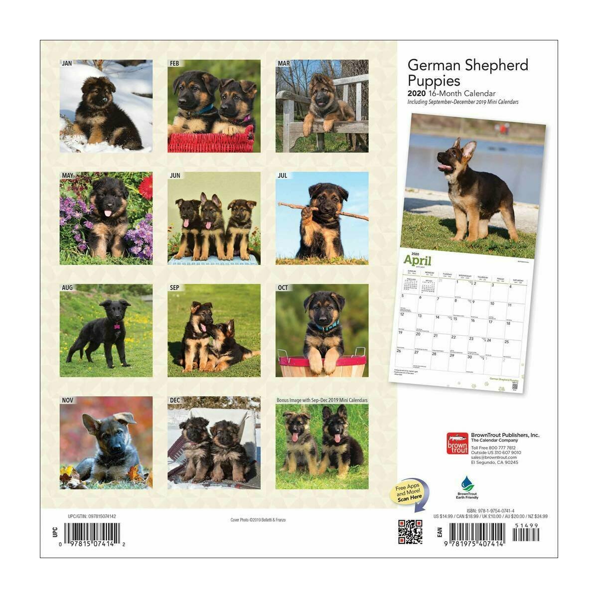 Calendrier 2020 Berger Allemand Chiot