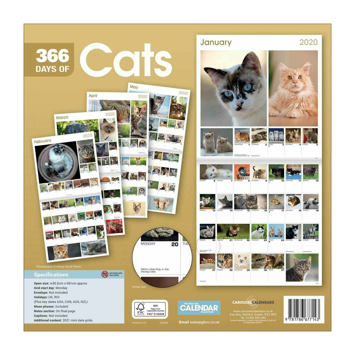 calendrier 2020 chat en 365 photos