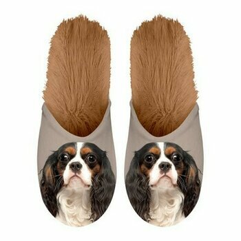 Chaussons Cavalier king charles