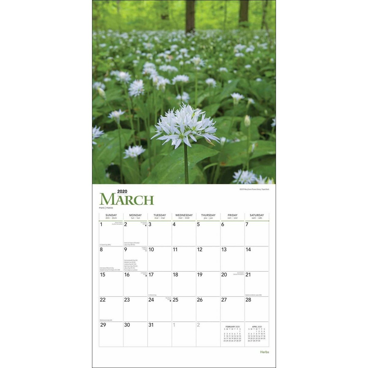 calendrier Herbes aromatiques 2020