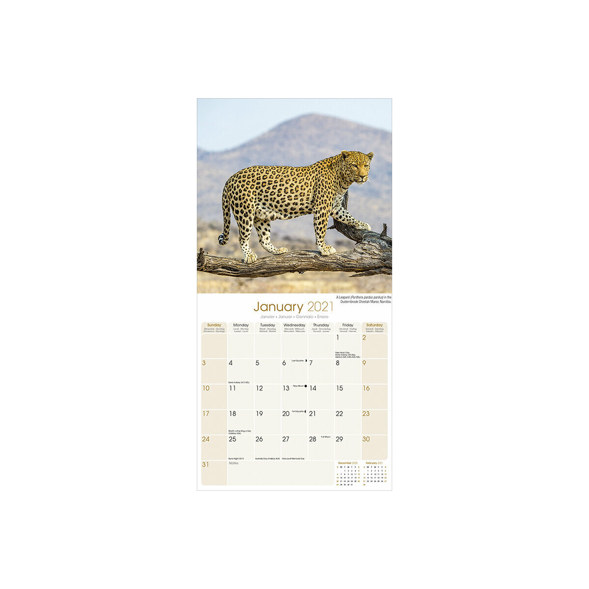 Calendrier 2021 Animaux Sauvages cm 2021 calendrier afrique