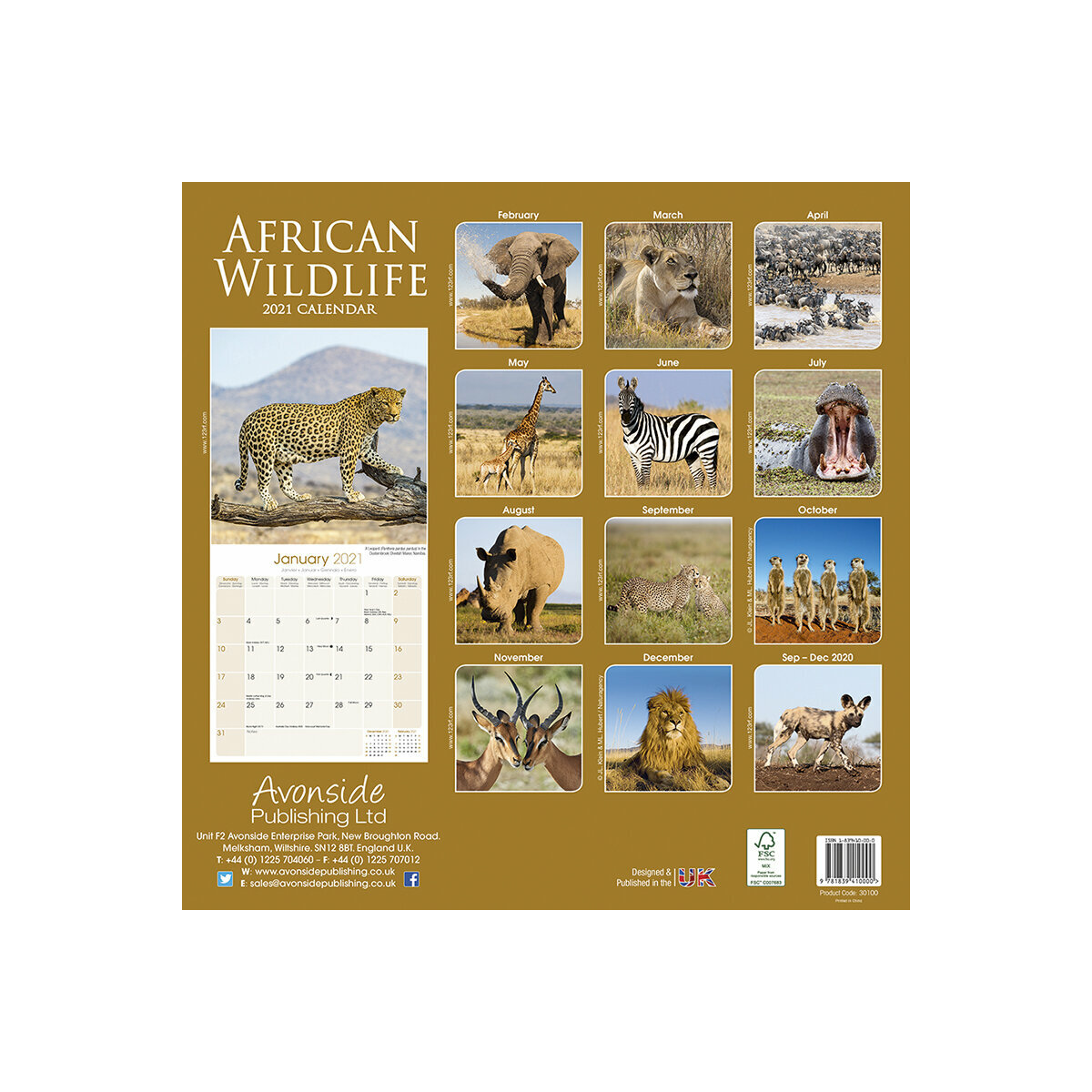 Calendrier 2021 Animaux Sauvages cm 2021 calendrier afrique