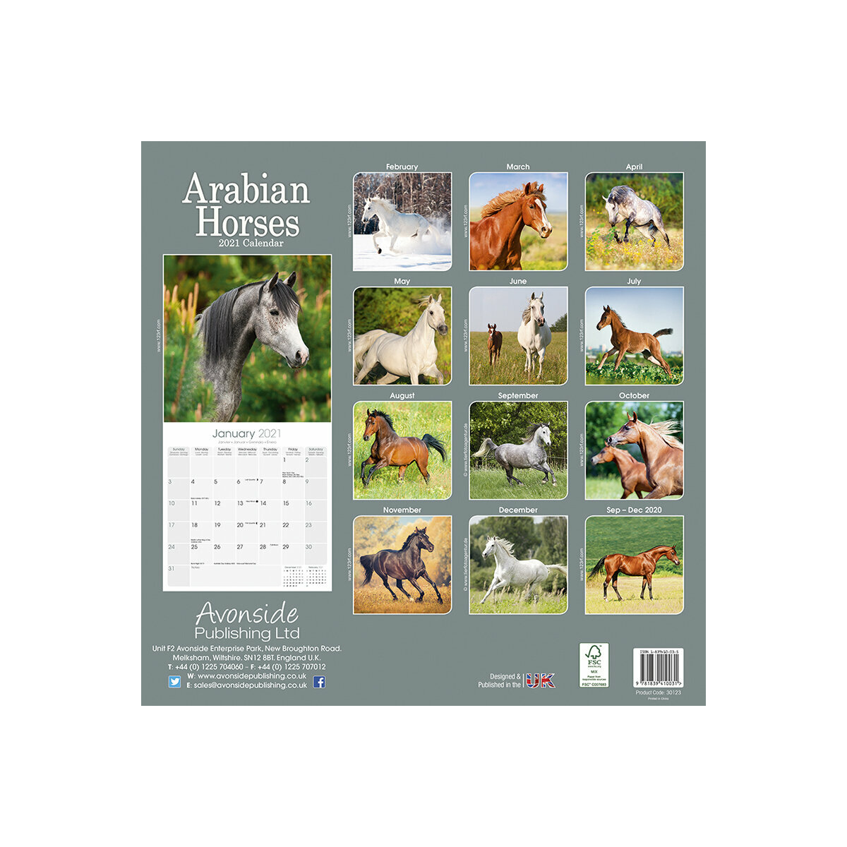 Calendrier 2021 Chevaux Arabes