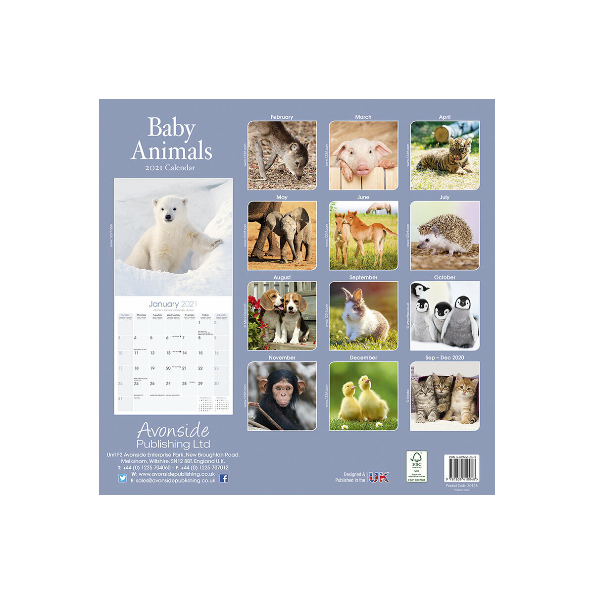 Calendrier 2021 Bebes Animaux calendrier animaux 2021