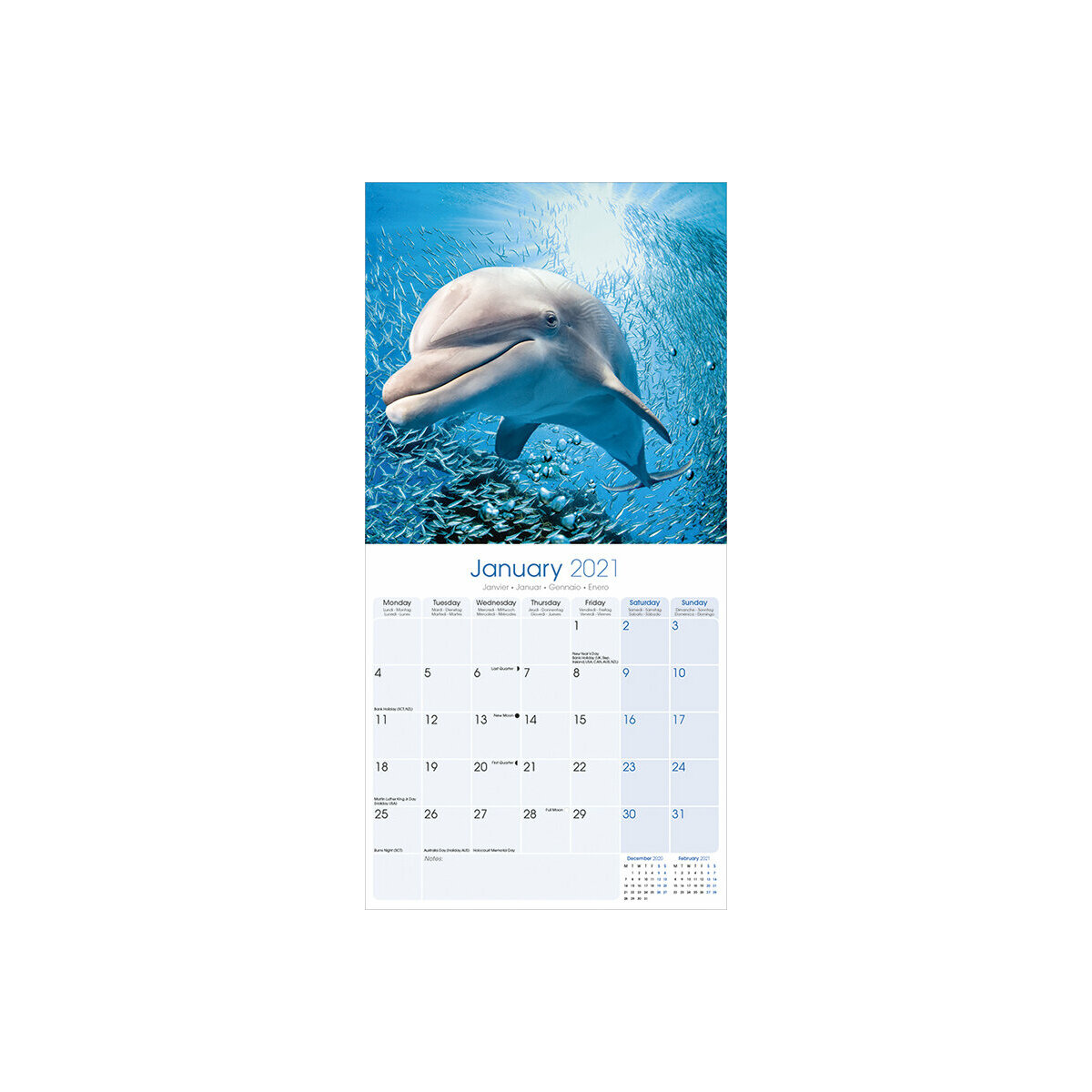 Calendrier 2021 Dauphin