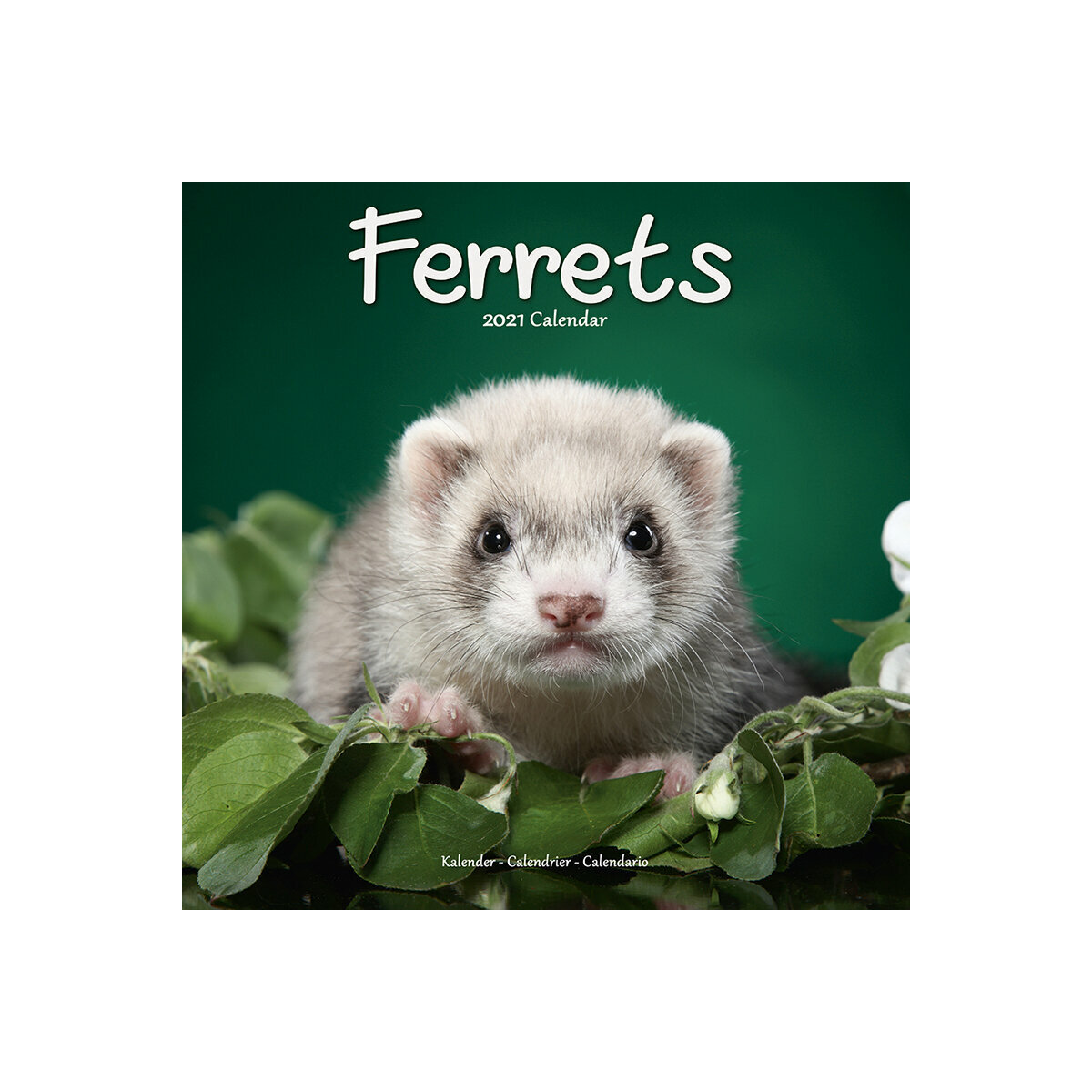 Calendrier 21 Furet