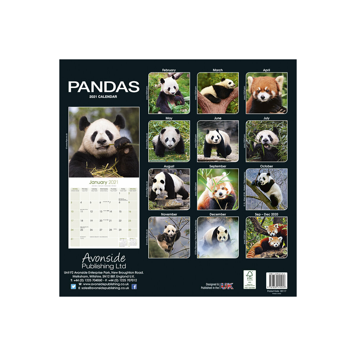 Calendrier 2021 Panda