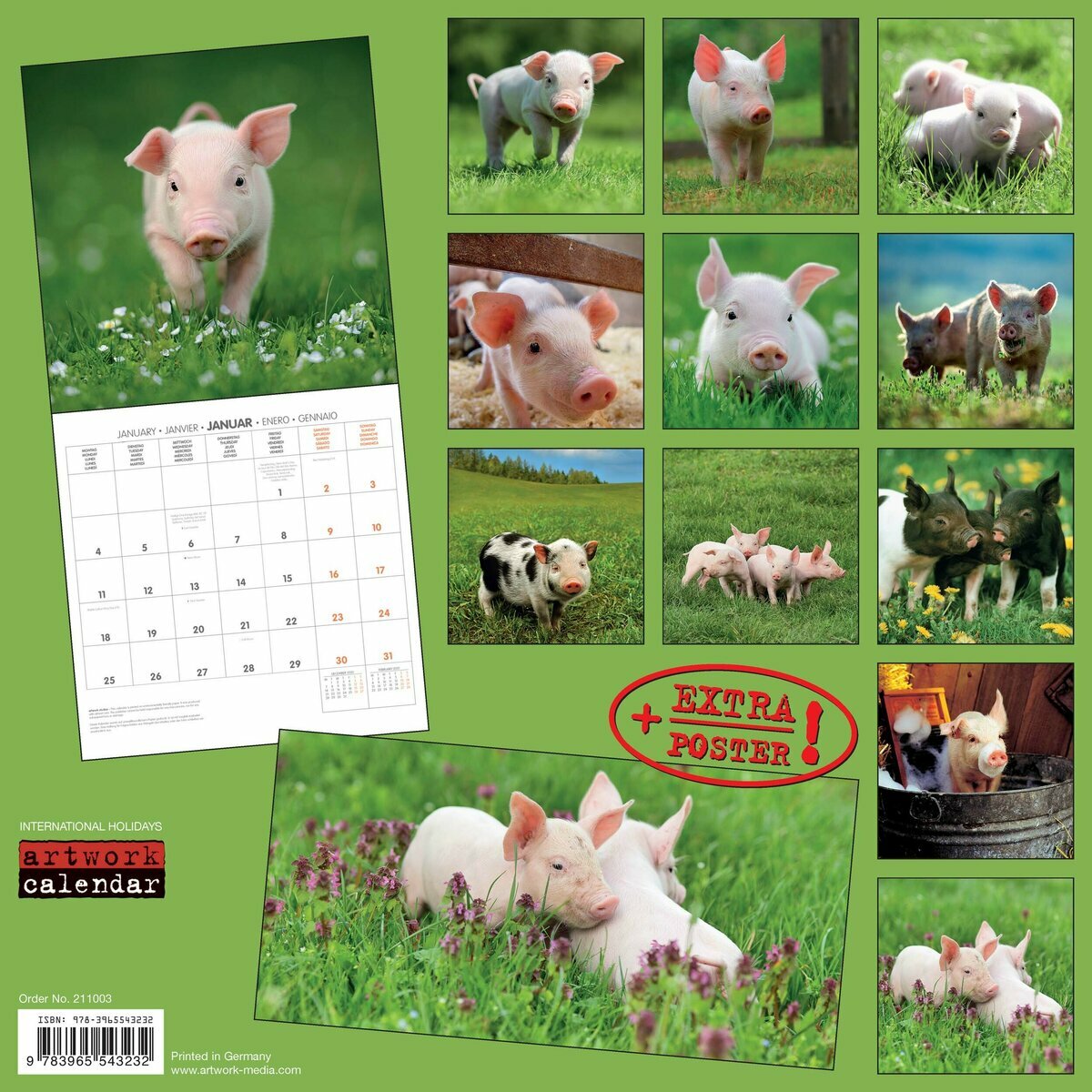 Calendrier 2021 Cochon avec poster offert