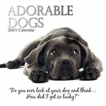 Calendriers Chiens 2021