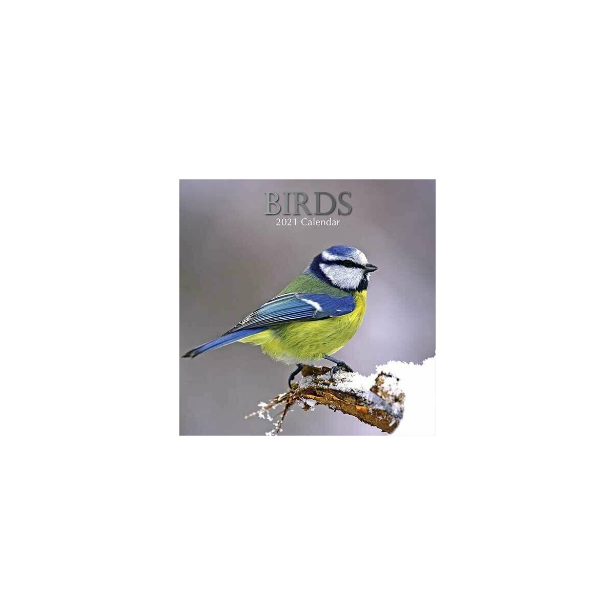 Calendrier 2021 Oiseaux Nature calendrier oiseaux 2021