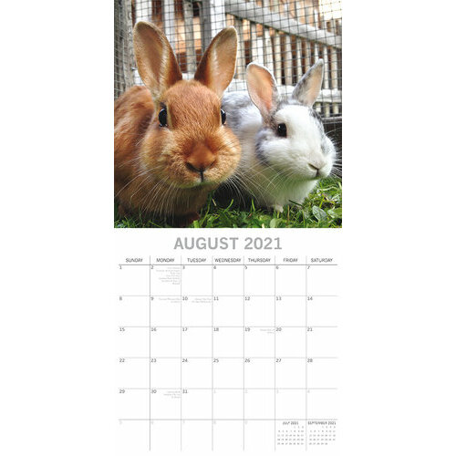 Calendrier 21 Lapin Mignon Calendrier 21 Lapin Mignon