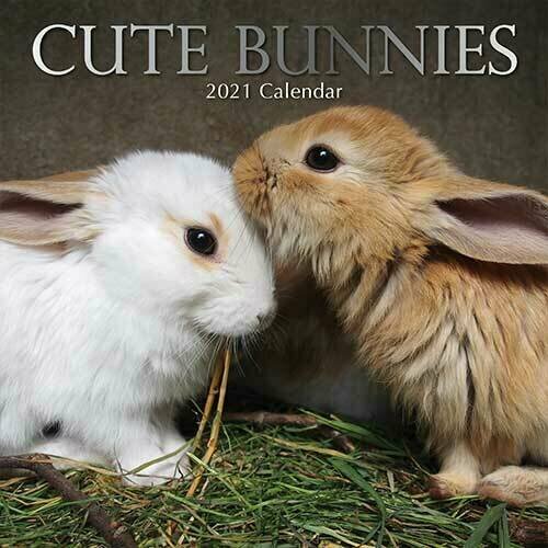 Calendrier 21 Lapin Mignon Calendrier 21 Lapin Mignon